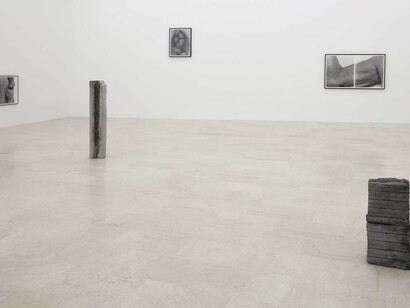Foreign bodies. John Coplans & June Crespo, installation view, 2018, P420 Bologna. Ph C. Favero