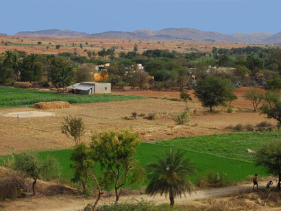 Organic village Kondakindapalli, Southern India - stimulus packages should support such initiatives © Ashish Kothari