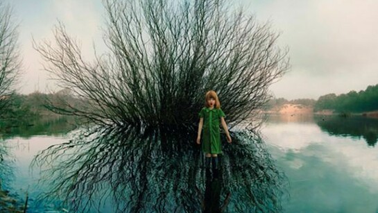 Camara Oscura Galeria de Arte, Ellen Kooi, Oosterplas willow 2012 100x158 cm Fuji Chrystal Archive print ed 7