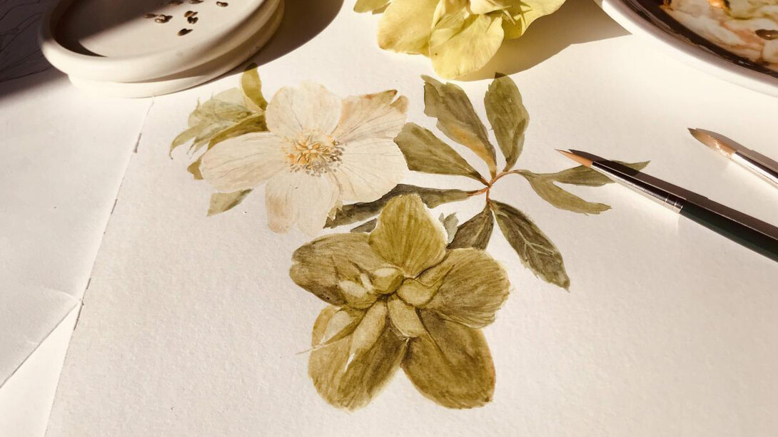 Gioia Marchegiani dipinge dal vivo un elleboro