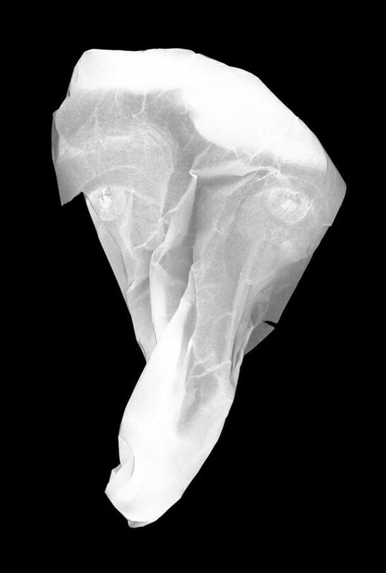 Pádraig Spillane, Nothing goes away, 2013, 224mm x 305mm, digital pigment print