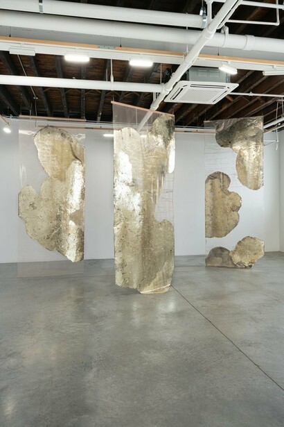 Rosalind Tallmadge, Pareidolia, exhibition view. Courtesy of Carvalho Gallery