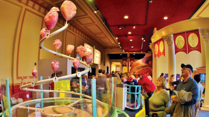 The Giant Heart. Courtesy of The Franklin Institute
