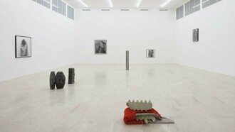 Foreign bodies. John Coplans & June Crespo, installation view, 2018, P420 Bologna. Ph C. Favero