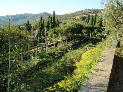 Scorcio del giardino 
