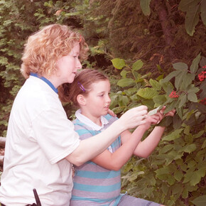 The Northern Forest. Courtesy of Science Nord 