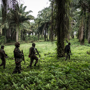 Swiss Press Photo 19. Courtesy of National Museum Zurich