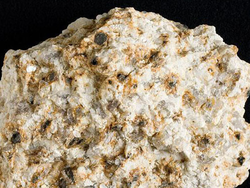 Mineral Hall. Courtesy of Royal Belgian Institute of Natural Sciences