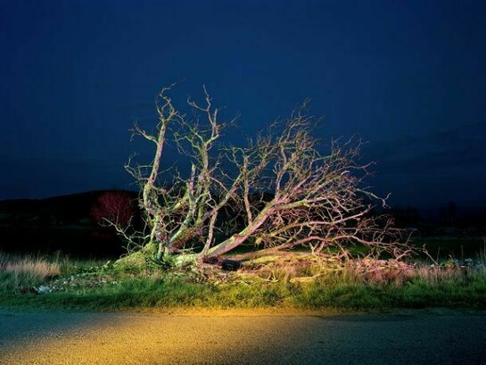 Gerard Byrne, Route à la Campagne, avec Arbre, Soir. Au virage de la departementale qui relie Roussillon à Gargas, entre les Clos, de l' Urbane et les Bourgues, 2008. Fuij Crystal Archive Print, 88 x 110 cm, 34 2/3 x 43 1/3 in, BYRG/E 1