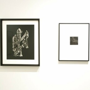 Monochrome, Exhibition view. Courtesy of Bruce Silverstein Gallery 