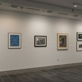 Their Own Harlems. Courtesy of The Studio Museum in Harlem