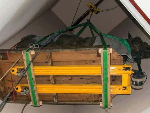 Museum Renovation. Courtesy of Royal Belgian Institute of Natural Sciences
