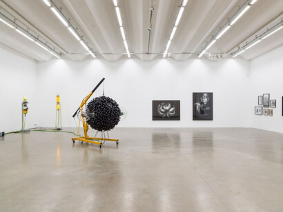 Thomas Feuerstein. Courtesy of Sexauer