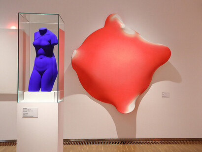 Show! Highlights from the collection, exhibition view. Courtesy of Neue Galerie Graz