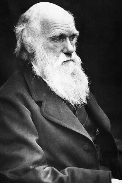 Charles Darwin in the characteristic literature illustration, photographed in 1869 by Julia Margaret Cameron