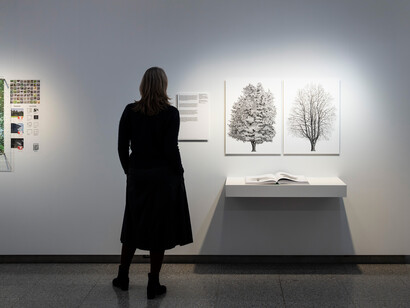 More than human. Design mit der natur, ausstellungsansicht. Mit freundlicher genehmigung des Museums für Gestaltung