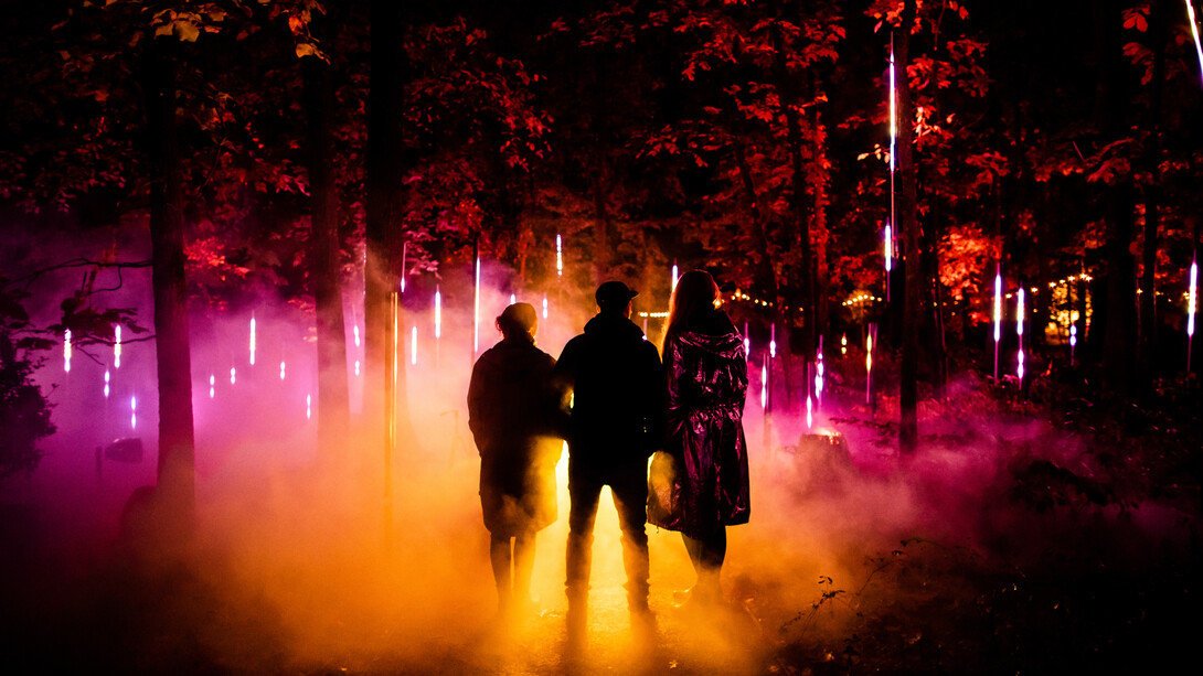 Light cycles. Courtesy of Fever