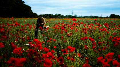 In armonia con la Natura