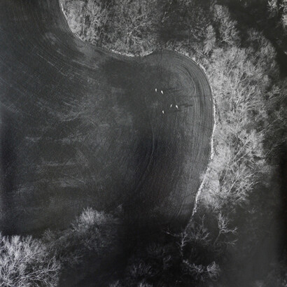 The Inhabited Prairie. Courtesy of Yancey Richardson Gallery