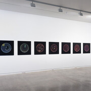 Dane Mitchell, Archive of dust, room 18, exhibition view. Courtesy of Two Rooms