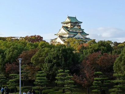 Osaka Castle Park features a large variety of large trees