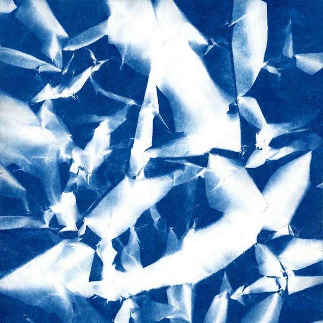 Walead Beshty, Foundation for Contemporary Arts Benefit Contribution Form, October 8, 2016
Cyanotype, ink, and toner on paper 11 x 8 1/2 inches (27.9 x 21.6 cm). Courtesy of David Zwirner