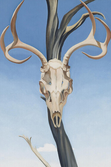 Georgia O’Keeffe, Cabeza de ciervo con pedernal, 1936