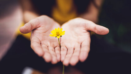 Es necesario un «trabajo interior» voluntario y comprometido para modificar nuestra manera de relacionarnos