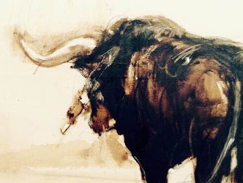 Toro bravo