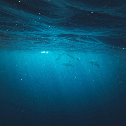 Ridurre le emissioni di CO₂ è fondamentale per rallentare il riscaldamento degli oceani