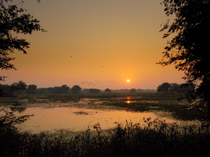 Sunset at Bharatpur Sanctuary © Saad Akhtar
