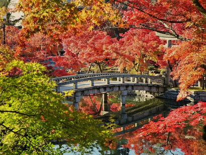 Temporada otoñal en Japón