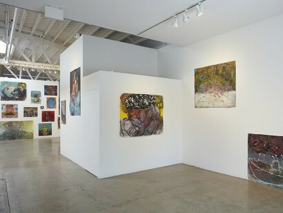 Alexandra Wiesenfeld, Exhibition view. Courtesy of Klowden Mann