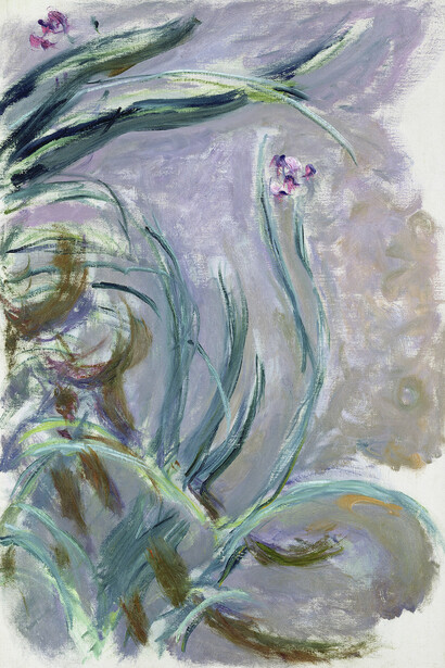 Claude Monet. Iris