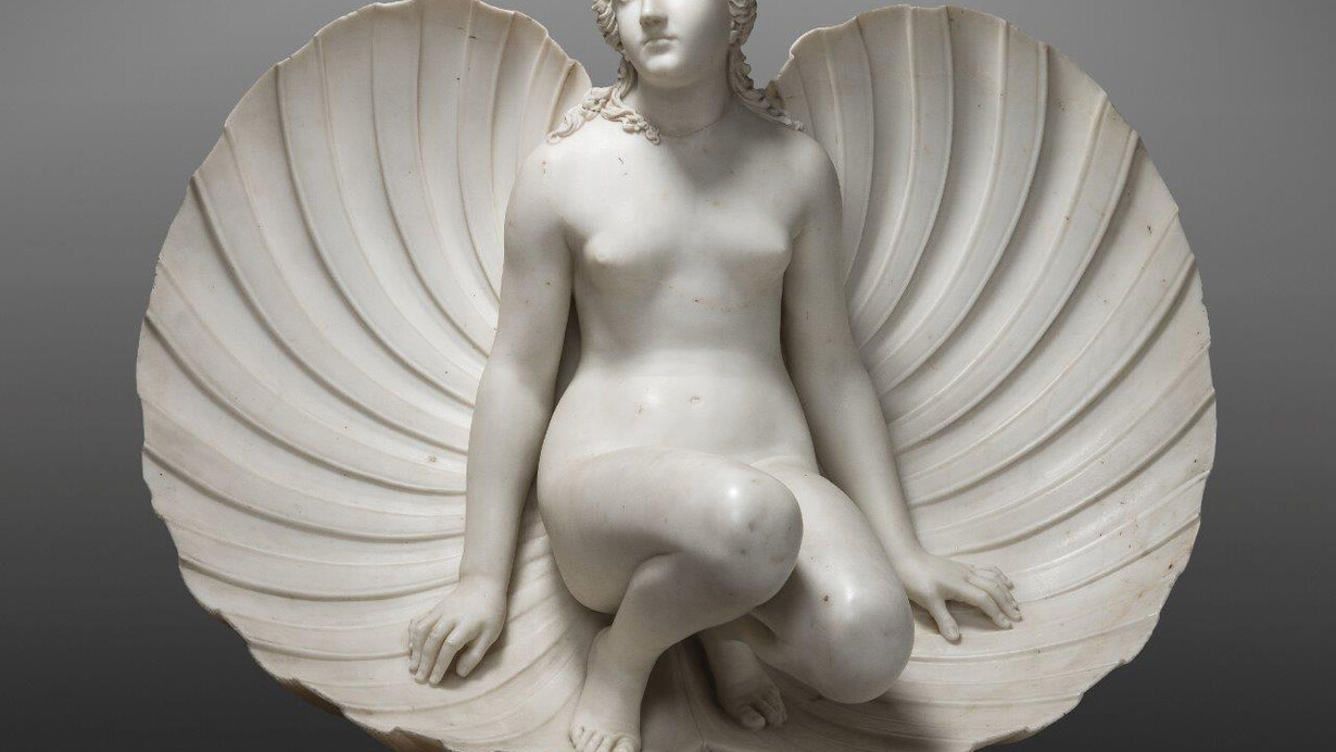 Carlo Finelli, Venere che esce da una conchiglia