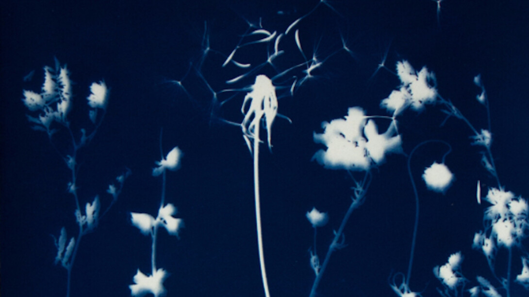 Pipo Nguyen-duy, Untitled L28, 1998. Courtesy of ClampArt