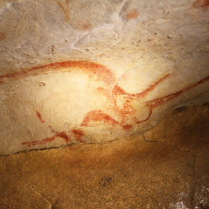 Rinoceronte. Grotta di Chauvet), Vallon-Pont-d'Arc, Francia