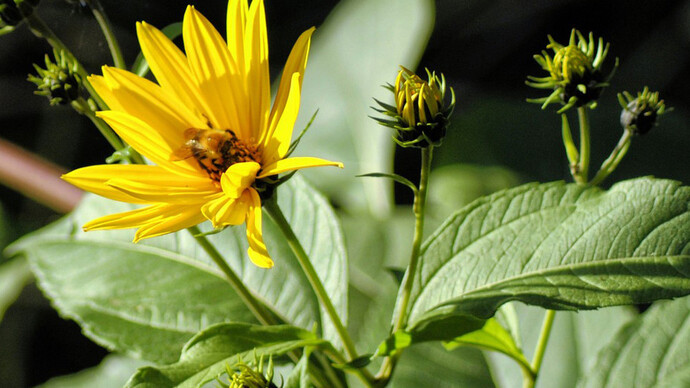 Dal mito al principio curativo. Courtesy of Municipio di Pesaro