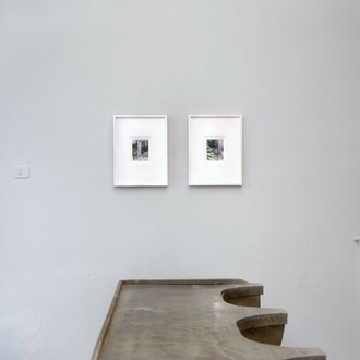 Jacana’s frontal shield or frontal as shields are frontal. Courtesy of The Workbench