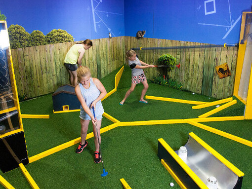 Backyard Adventures. Courtesy of Peggy Notebaert Nature Museum