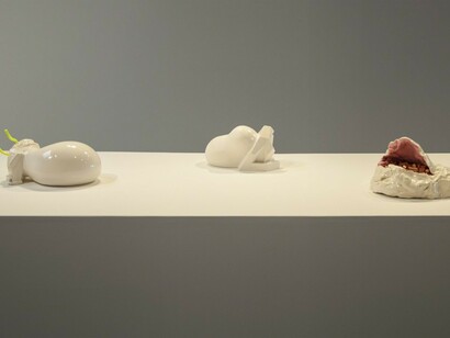 Sharon Engelstein. Ever to Find, Exhibition view. Courtesy of Wilding Cran Gallery 