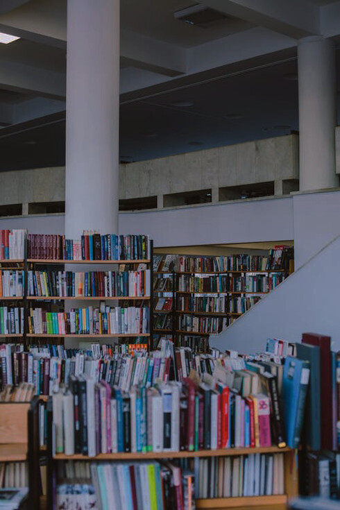 Captivating a young mind amidst the shelves of knowledge, as books become the stepping stones to universal wisdom in the journey of education