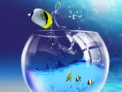 Évadez l'environnement naturel