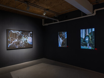 Oli Sorenson, Video pistoletto, exhibition view. Courtesy of Art Mûr