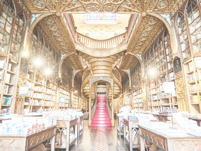 Published books waiting to be devoured by eager readers, in Livraria Lello