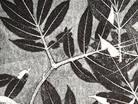 Terry Adkins, Pinewood Air, Relief print, foliage impression monoprint, 2004 © Estate of Terry Adkins. Image courtesy of Pilchuck Glass School, Seattle
 