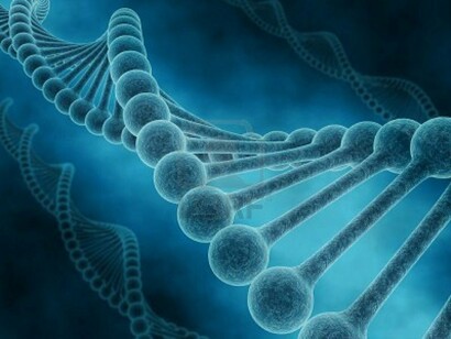 Memoria genética en las cadenas de ADN