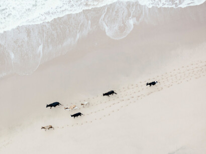 Zack Seckler. Courtesy of ClampArt