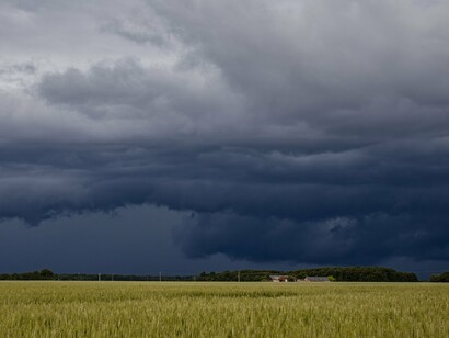 Uma paisagem rural aparece sob um céu carregado, enquanto a aproximação da chuva altera o cenário sobre as áreas de cultivo. Na Região Sul, o aumento das precipitações associado ao El Niño pode trazer excesso de umidade ao solo e elevar os riscos para diferentes sistemas produtivos