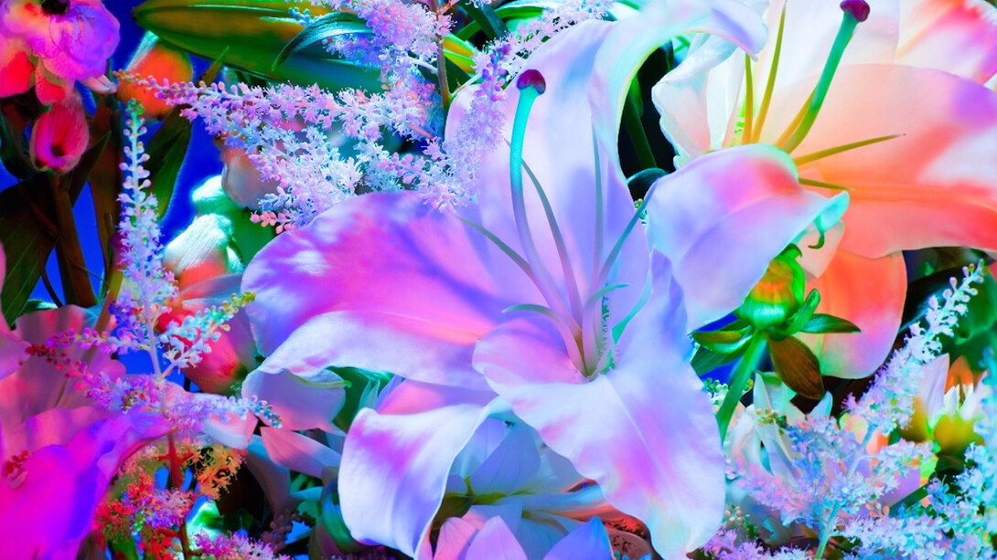 Torkil Gudnason, Electric Blossom #1123, 2012. Courtesy of Fahey/Klein Gallery